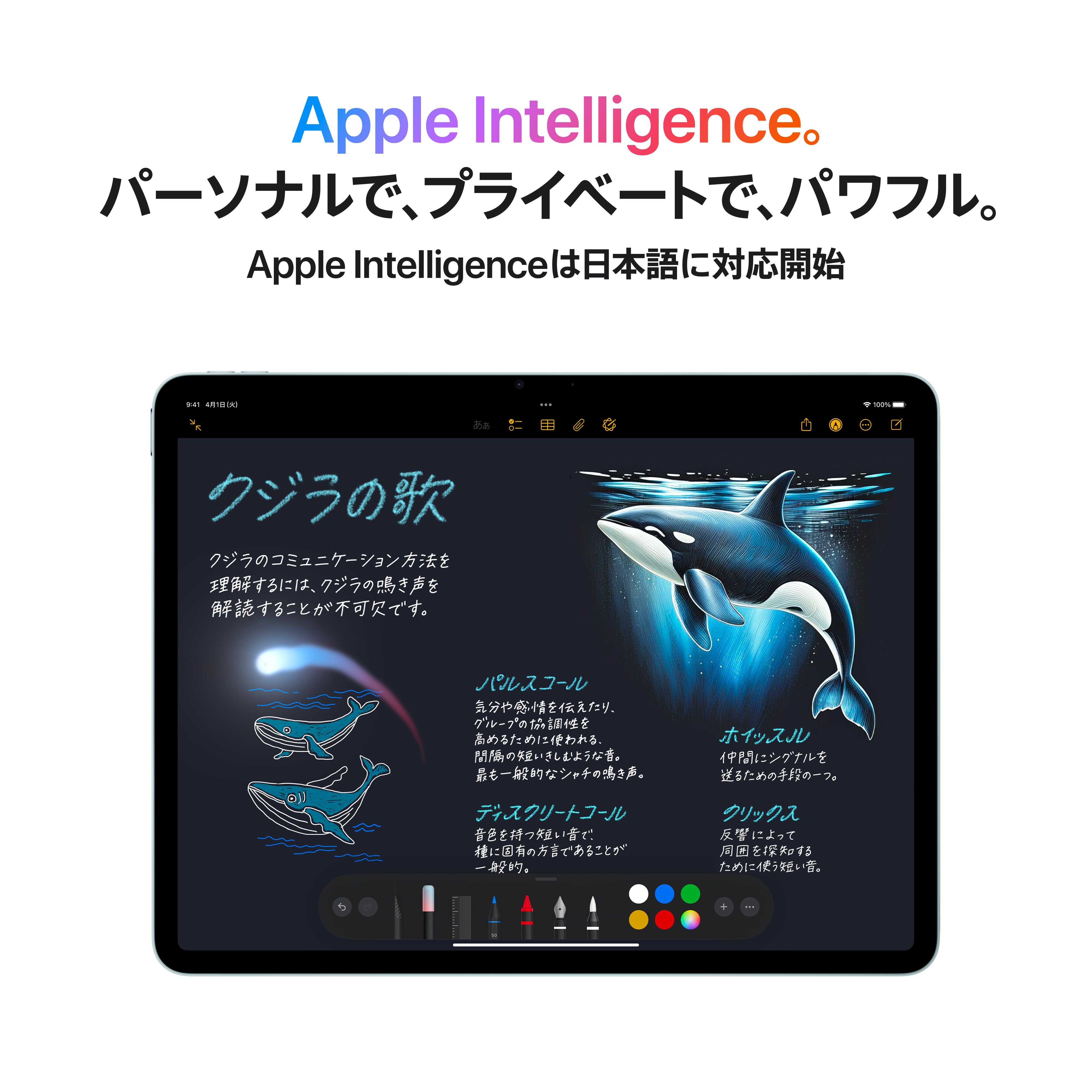 11インチiPad Air Wi-Fi 256GB - スターライト (M3) – C smart | 公式