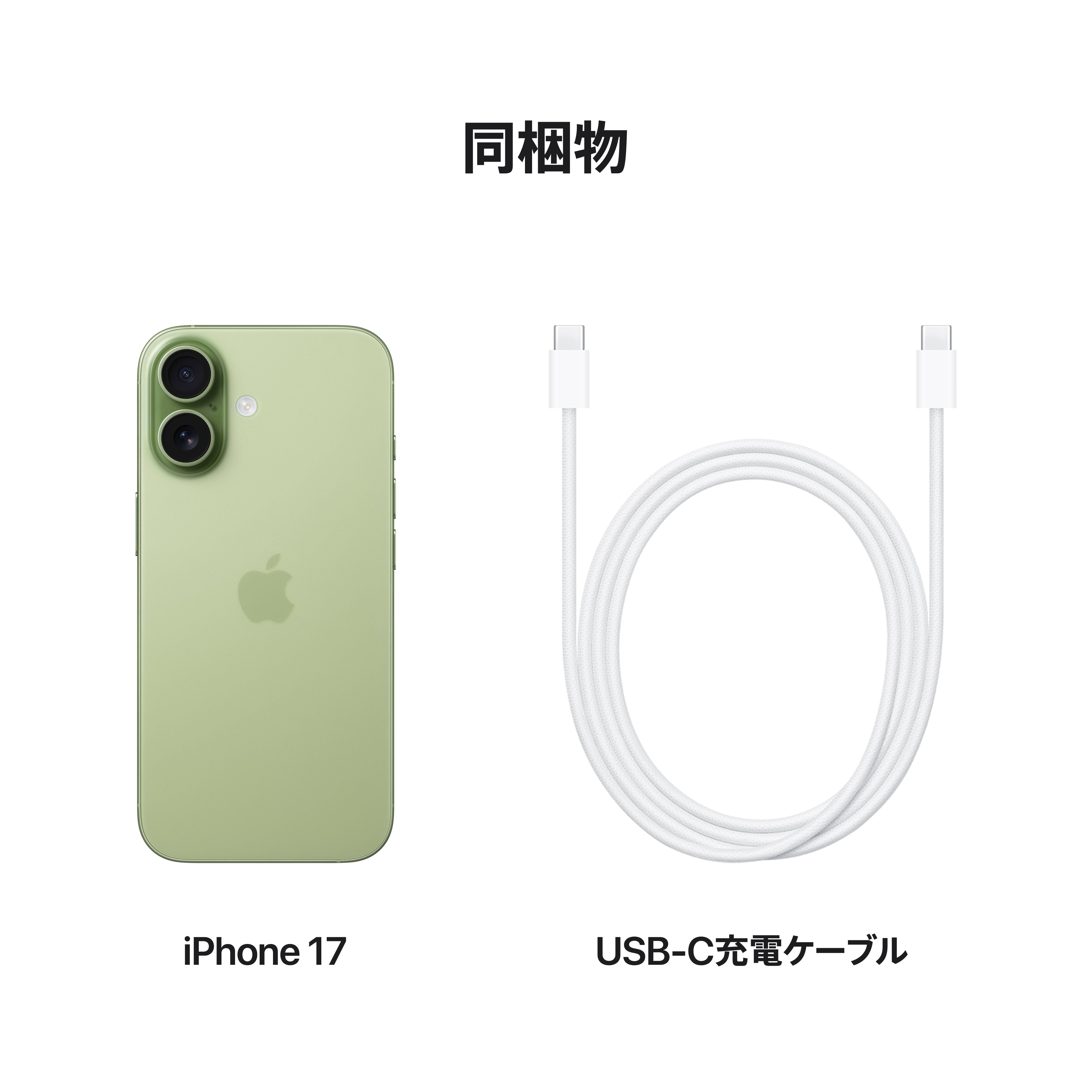 iPhone 17 256GB セージ – C smart | 公式オンラインストア
