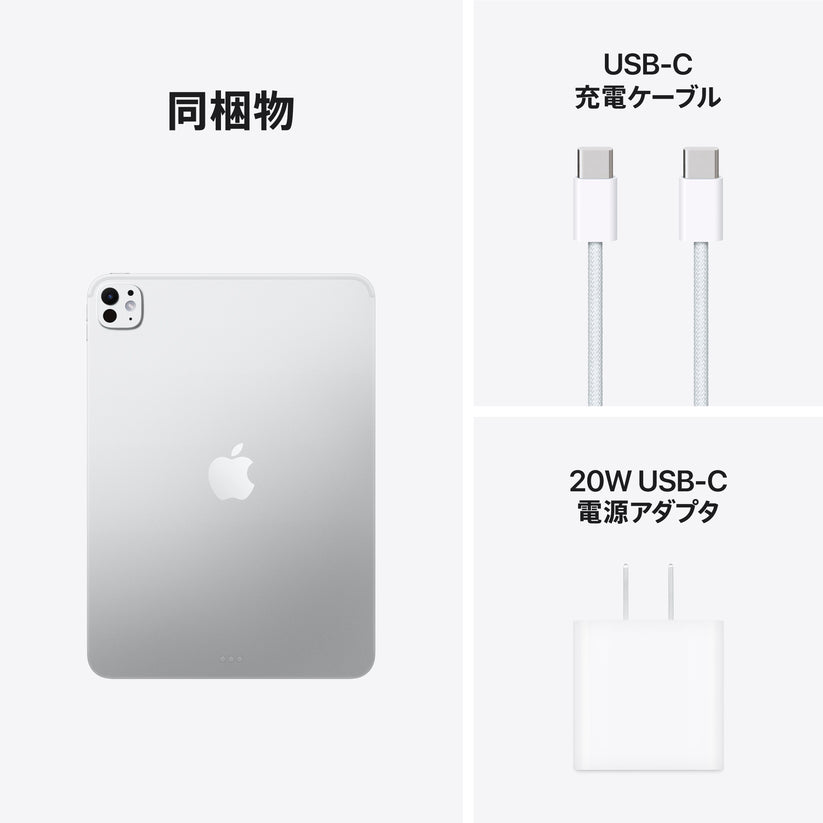 iPad_Pro_11-in_M5_WiFi_Silver_PDP_Image_Position_9__ja-JP