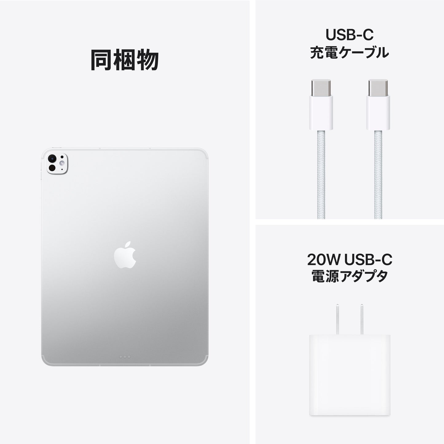 iPad_Pro_13-in_M5_Cellular_Silver_PDP_Image_Position_9__ja-JP