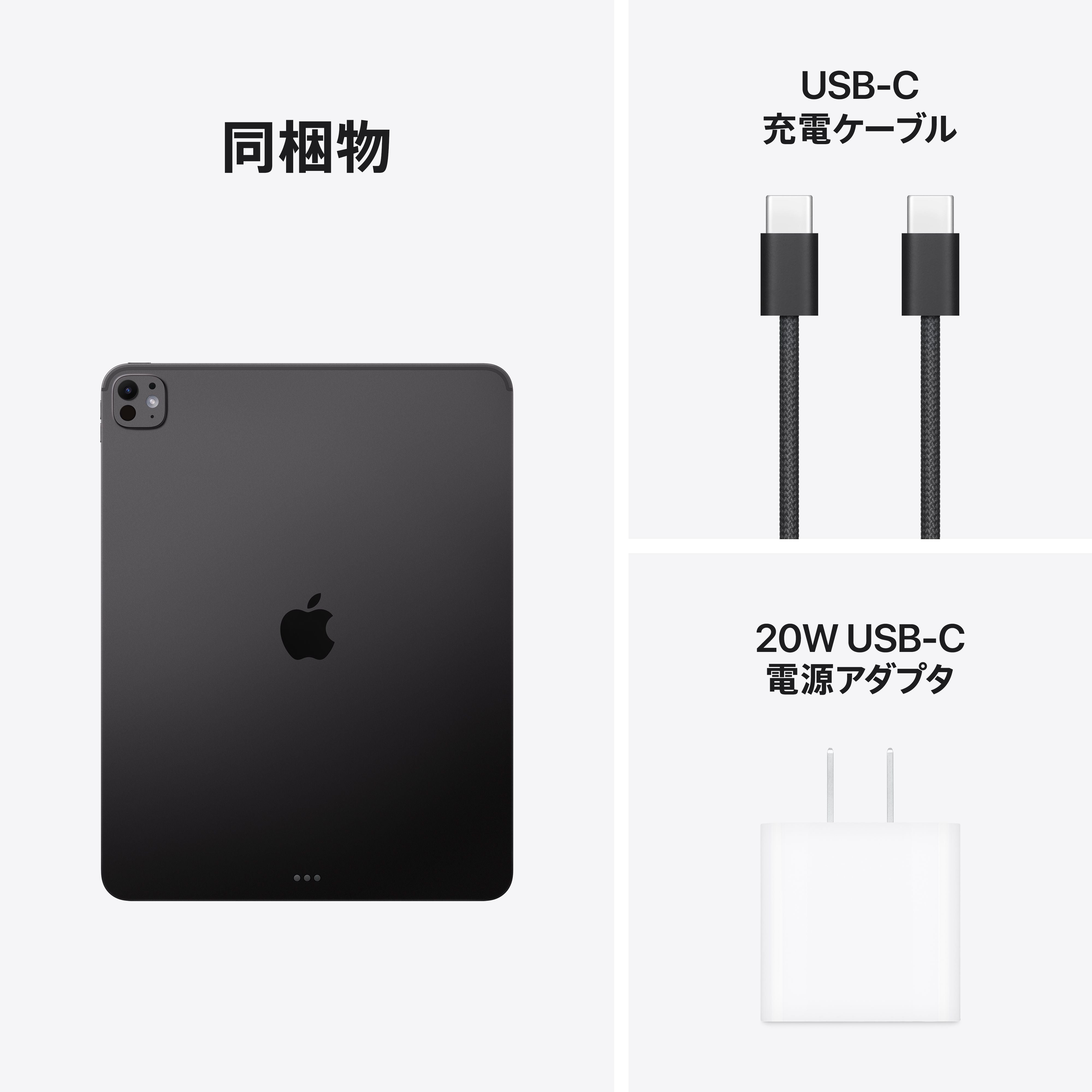 13インチiPad Pro Wi-Fi 256GB 標準ガラス - スペースブラック (M5