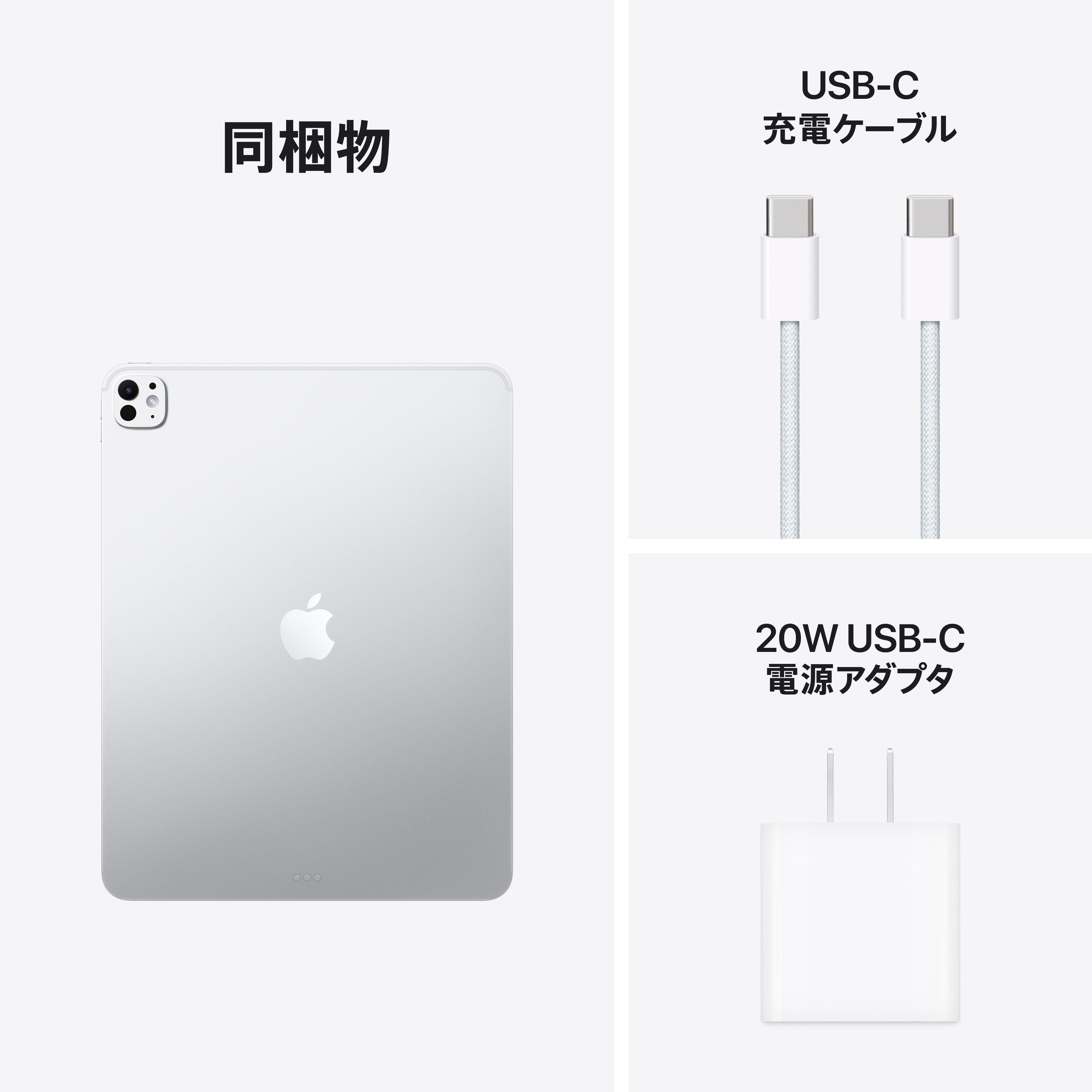 13インチiPad Pro Wi-Fi 256GB 標準ガラス - シルバー (M5) – C smart