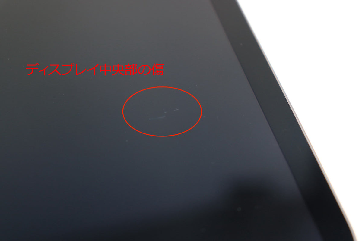 【リユースデバイス：ランクC】11インチiPad Pro（M4）Wi-Fiモデル 256GB ※画面焼け有