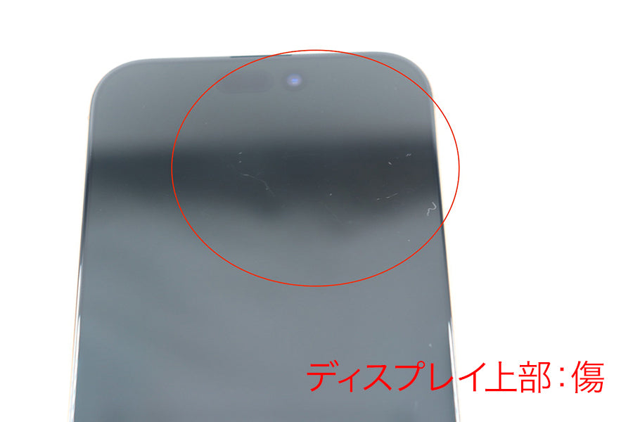 【リユースデバイス：ランクC】iPhone 16 Pro Max カメラ異常