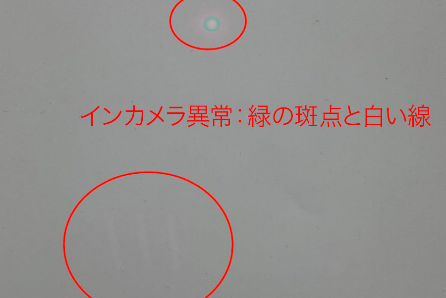 【リユースデバイス：ランクC】iPhone 16 Plus インカメラ異常