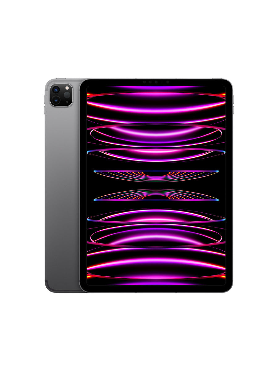 11インチiPad Pro Wi-Fi + Cellular 2TB - スペースグレイ