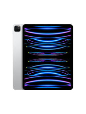 12.9ｲﾝﾁiPad Pro Wi-Fi 2TB - シルバー