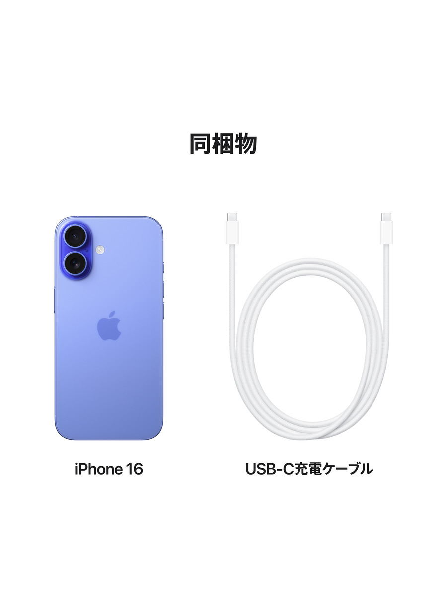 Apple iPhone 12 Pro Max 本体 充電ケーブル付き（Apple iPhone  