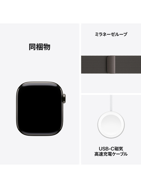 Apple Watch Series 11（GPS + Cellularモデル）- チタニウムケースとミラネーゼループ 詳細画像 スレート 8