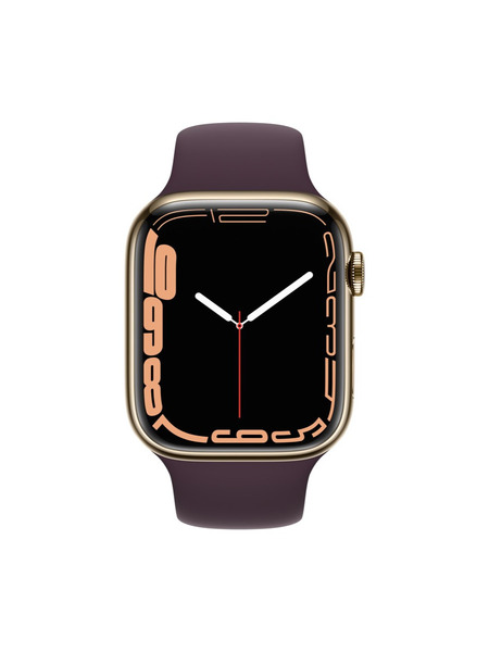 Apple Watch Series 7（GPS + Cellularモデル）ステンレススチールケースとスポーツバンド 詳細画像 ゴールド 2