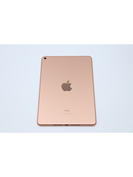 【リユースデバイス】7.9インチiPad mini Wi-Fi（第5世代） 詳細画像 ゴールド 1