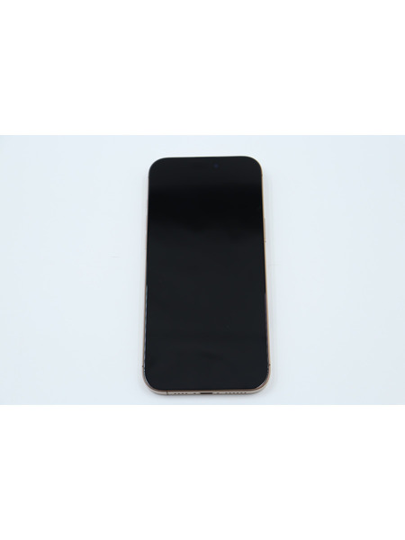 ※カメラ異常【リユースデバイス】iPhone 16 Pro Max 詳細画像 デザートチタニウム 6