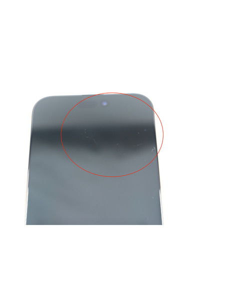 ※カメラ異常【リユースデバイス】iPhone 16 Pro Max 詳細画像 デザートチタニウム 7