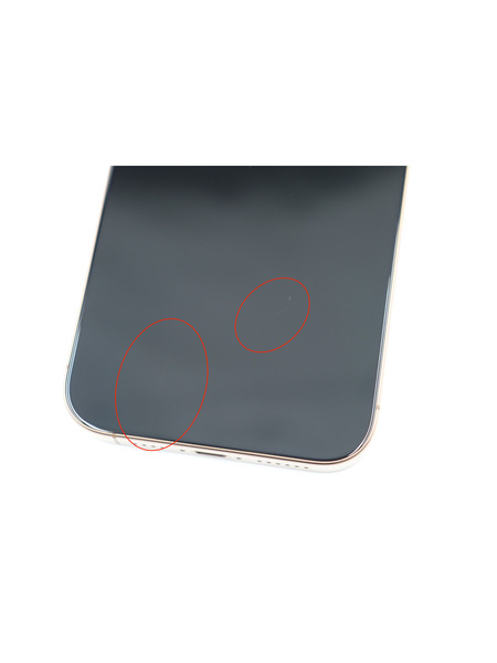 ※カメラ異常【リユースデバイス】iPhone 16 Pro Max 詳細画像 デザートチタニウム 9