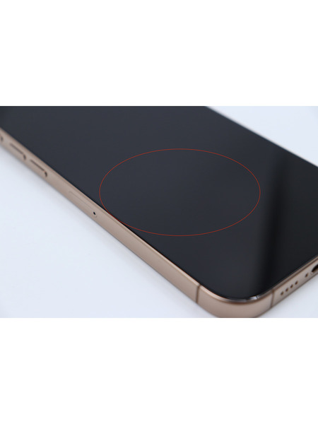 ※インカメラ異常【リユースデバイス】iPhone 16 Pro Max 詳細画像 デザートチタニウム 8