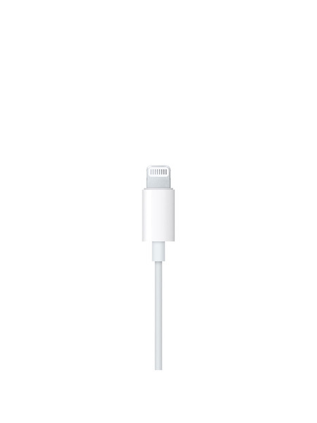 EarPods with Lightning Connector 詳細画像 ホワイト 4