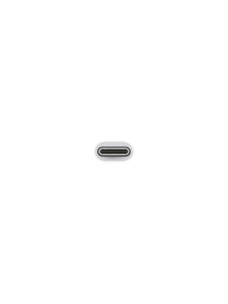 USB-C - USB アダプタ 詳細画像 ホワイト 2