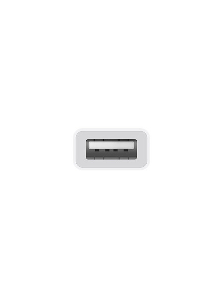 USB-C - USB アダプタ 詳細画像 ホワイト 3