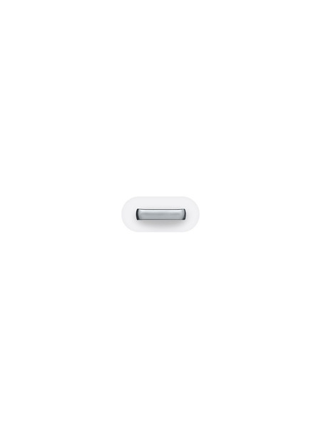 Lightning - Micro USBアダプタ 詳細画像 ホワイト 3