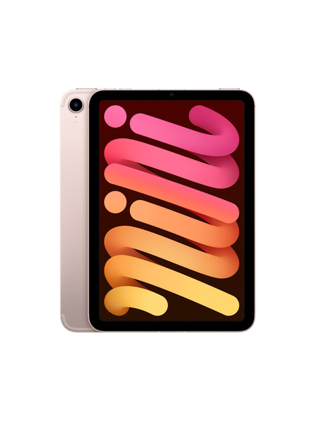 iPad-mini-6th-Cellular 詳細画像 ピンク 1