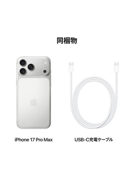 iPhone 17 Pro Max 詳細画像 シルバー 8